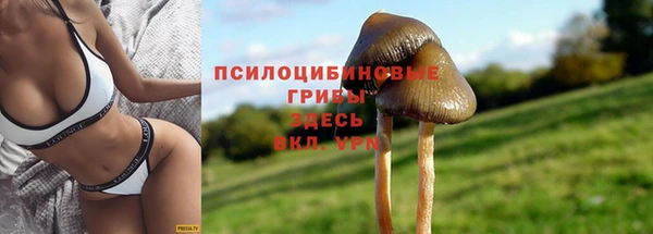 mix Алексеевка