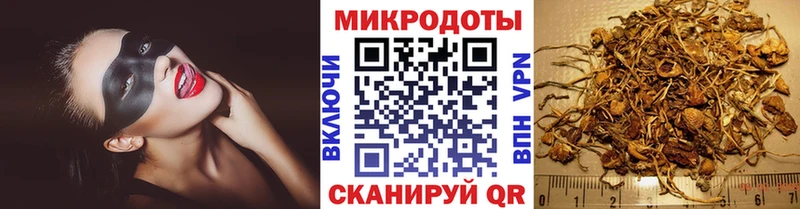 Псилоцибиновые грибы Psilocybe  Уяр 